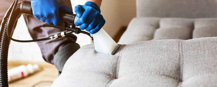 Best Upholstery Cleaning Brighton