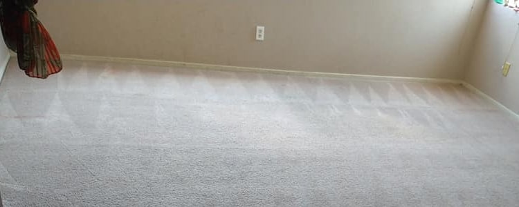 End Of Lease Carpet Cleaning Brighton