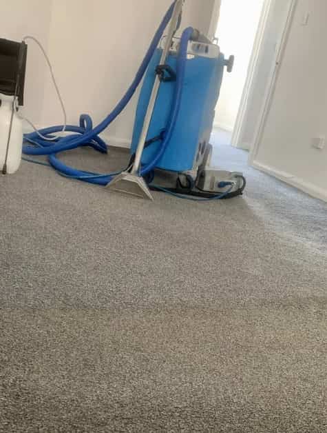 Professional Carpet Cleaners in Brighton